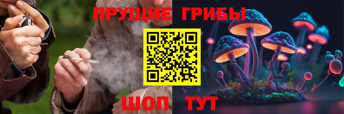 Галлюциногенные грибы ЛСД Астрахань